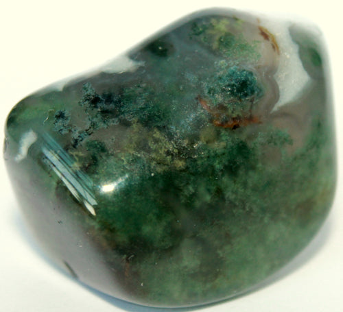 Akik Yosunlu (Moss Agate) Doğal Taşı: Kökeni, Mineral Yapısı, Kullanım Alanları ve Fiyat Farklılıkları